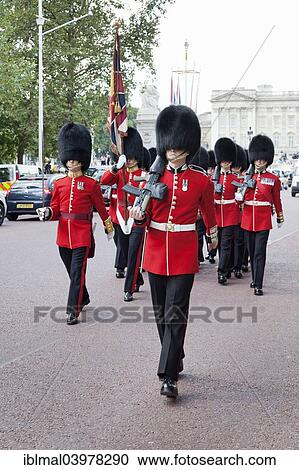 "Changing of the Guard in The Mall, on their way to Buckingham Palace, City of Westminster, London, England, United Kingdom, Europe" View Large Photo Image Stock Image - "Changing of the Guard in The Mall, on their way to Buckingham Palace, City of Westminster, London, England, United Kingdom, Europe". Fotosearch