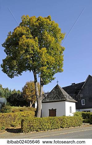 "Chapel of the Cross, Drolshagen, Sauerland, North Rhine-Westphalia, Germany, Europe, PublicGround, Europe" View Large Photo Image Stock Photograph - "Chapel of the Cross, Drolshagen, Sauerland, North Rhine-Westphalia, Germany, Europe, PublicGround, Europe". Fotosearch