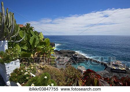 "Charco Azul, natural swimming pool, San Andres, La Palma, Canary Islands, Spain, Europe" View Large Photo Image Stock Photography - "Charco Azul, natural swimming pool, San Andres, La Palma, Canary Islands, Spain, Europe". Fotosearch