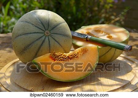 "Charentais melon, France, Europe" View Large Photo Image Stock Photo - "Charentais melon, France, Europe". Fotosearch