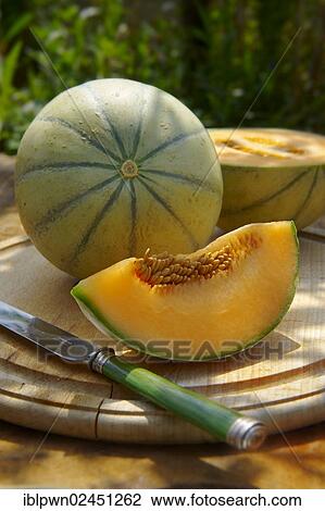 Charentais melon View Large Photo Image Stock Image - Charentais melon. Fotosearch