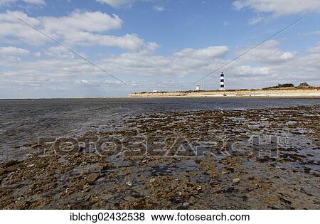 "Chassiron Lighthouse, Oleron Island, Ile d'Oleron, Charentes Maritimes, Poitou-Charentes, France, Europe" View Large Photo Image Stock Photo - "Chassiron Lighthouse, Oleron Island, Ile d'Oleron, Charentes Maritimes, Poitou-Charentes, France, Europe". Fotosearch