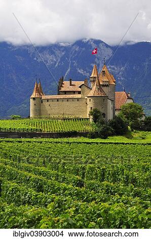 "Chateau d'Â’Aigle or Aigle Castle, surrounded by vineyards, Aigle, Canton of Vaud, Switzerland, Europe" View Large Photo Image Picture - "Chateau d'Â’Aigle or Aigle Castle, surrounded by vineyards, Aigle, Canton of Vaud, Switzerland, Europe". Fotosearch