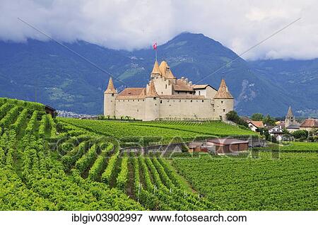 Stock Photo - "Chateau d'Â’Aigle or Aigle Castle, surrounded by vineyards, Aigle, Canton of Vaud, Switzerland, Europe". Fotosearch