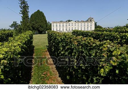 "Chateau Laroque wineyard, AOC Saint Emilion, Bordeaux, Aquitaine, France, Europe" View Large Photo Image Stock Image - "Chateau Laroque wineyard, AOC Saint Emilion, Bordeaux, Aquitaine, France, Europe". Fotosearch