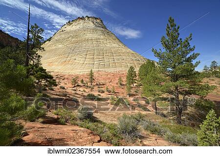 Picture - "Checkerboard Mesa Table Mountain, Zion National Park, Utah, United States of America, USA". Fotosearch
