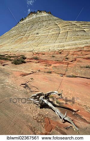 Stock Image - "Checkerboard Mesa Table Mountain, Zion National Park, Utah, United States of America, USA". Fotosearch