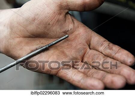 Stock Image - "Checking oil level in tractor engine using dipstick, England, United Kingdom, Europe". Fotosearch