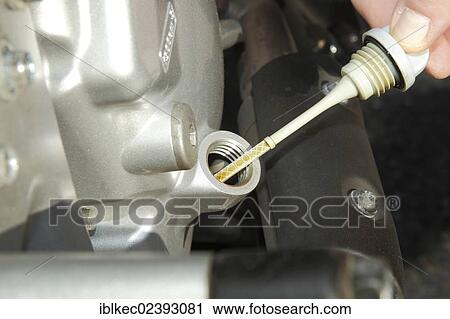 Checking the oil of a motor scooter View Large Photo Image Stock Image - Checking the oil of a motor scooter. Fotosearch