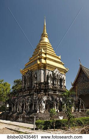 "Chedi with elephant statues, Wat Chiang Man, Chiang Mai, Northern Thailand, Thailand, Asia" View Large Photo Image Stock Image - "Chedi with elephant statues, Wat Chiang Man, Chiang Mai, Northern Thailand, Thailand, Asia". Fotosearch