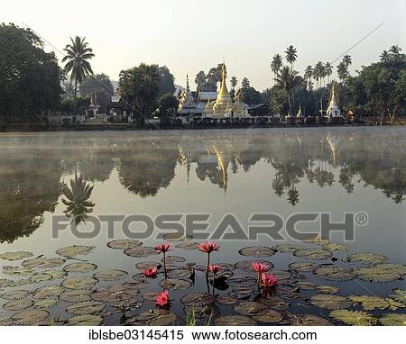 "Chedis of Wat Chong Kham and Wat Chong Klang reflected in the Nong Jong Kham lake, lotus flowers, lotus pond, Mae Hong Son, Northern Thailand, Thailand, Asia" View Large Photo Image Stock Photography - "Chedis of Wat Chong Kham and Wat Chong Klang reflected in the Nong Jong Kham lake, lotus flowers, lotus pond, Mae Hong Son, Northern Thailand, Thailand, Asia". Fotosearch