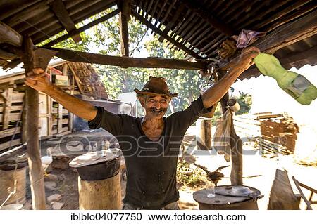 "Cheerful sugar cane farmer, Valle de los Ingenios, Trinidad, Sancti Spiritus Province, Cuba, North America" View Large Photo Image Stock Image - "Cheerful sugar cane farmer, Valle de los Ingenios, Trinidad, Sancti Spiritus Province, Cuba, North America". Fotosearch