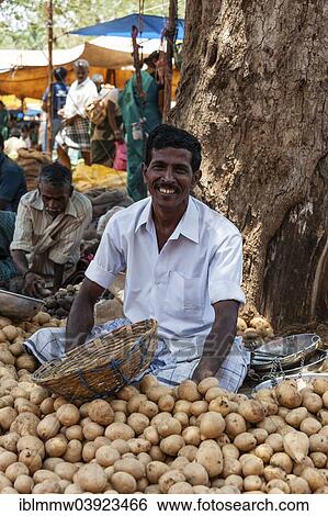 "Cheerful vendor, Indian market, Chinnamanur, Tamil Nadu, India, Asia" View Large Photo Image Stock Photograph - "Cheerful vendor, Indian market, Chinnamanur, Tamil Nadu, India, Asia". Fotosearch