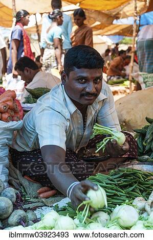 "Cheerful vendor promoting kohlrabi, Indian market, Chinnamanur, Tamil Nadu, India, Asia" View Large Photo Image Stock Image - "Cheerful vendor promoting kohlrabi, Indian market, Chinnamanur, Tamil Nadu, India, Asia". Fotosearch