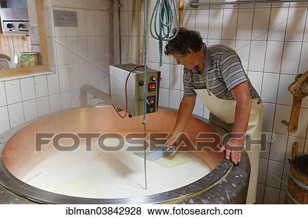 "Cheese production in an Alpine dairy, Alpe Obere Falz alp near Schetteregg, Egg, Bregenz Forest, Vorarlberg, Austria, Europe" View Large Photo Image Stock Photo - "Cheese production in an Alpine dairy, Alpe Obere Falz alp near Schetteregg, Egg, Bregenz Forest, Vorarlberg, Austria, Europe". Fotosearch