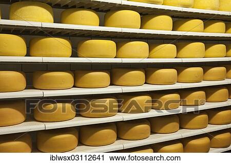 Stock Image - "Cheese wheels, farmer's cheese according to organic criteria, ripening at Schwendehof farm, Lenzkirch, Schwarzwald, Baden-Wurttemberg, Germany, Europe". Fotosearch