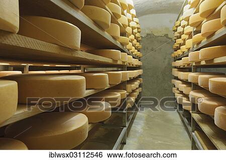 Stock Photograph - "Cheese wheels, farmer's cheese according to organic criteria, ripening at Schwendehof farm, Lenzkirch, Schwarzwald, Baden-Wurttemberg, Germany, Europe". Fotosearch