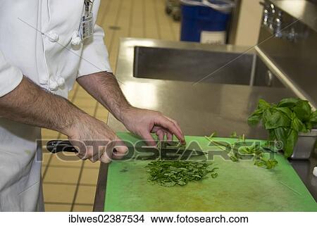 "Chef Jay Lovell cuts up basil in the kitchen of Henry Ford West Bloomfield Hospital, West Bloomfield, Michigan, USA" View Large Photo Image Picture - "Chef Jay Lovell cuts up basil in the kitchen of Henry Ford West Bloomfield Hospital, West Bloomfield, Michigan, USA". Fotosearch