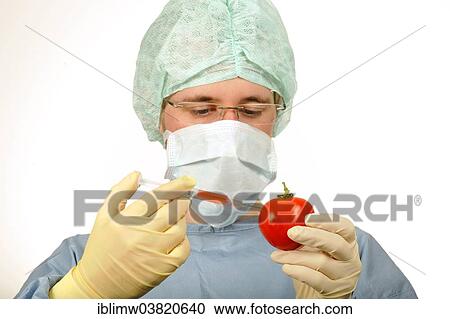 "Chemist in sterile scrubs holding a syringe and a tomato, symbolic image for genetically modified food, treated food" View Large Photo Image Stock Image - "Chemist in sterile scrubs holding a syringe and a tomato, symbolic image for genetically modified food, treated food". Fotosearch