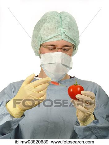 "Chemist in sterile scrubs holding a syringe and a tomato, symbolic image for genetically modified food, treated food" View Large Photo Image Stock Photo - "Chemist in sterile scrubs holding a syringe and a tomato, symbolic image for genetically modified food, treated food". Fotosearch