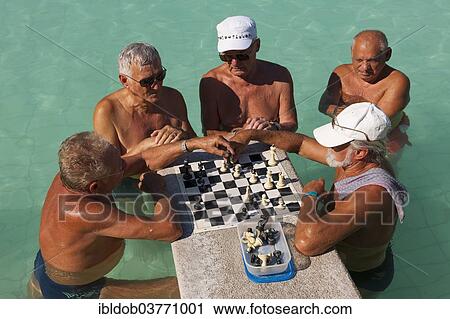 "Chess players in the Szechenyi Thermal Bath, Budapest, Hungary, Europe" View Large Photo Image Stock Image - "Chess players in the Szechenyi Thermal Bath, Budapest, Hungary, Europe". Fotosearch