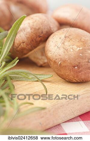 Chestnut mushrooms and rosemary on a cutting board View Large Photo Image Stock Photo - Chestnut mushrooms and rosemary on a cutting board. Fotosearch