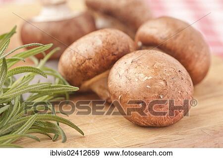 Chestnut mushrooms and rosemary on a cutting board View Large Photo Image Stock Photo - Chestnut mushrooms and rosemary on a cutting board. Fotosearch