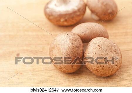 Chestnut mushrooms on a cutting board View Large Photo Image Stock Photo - Chestnut mushrooms on a cutting board. Fotosearch