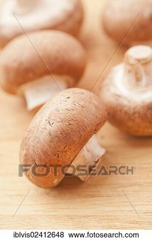 Chestnut mushrooms on a cutting board View Large Photo Image Stock Photo - Chestnut mushrooms on a cutting board. Fotosearch