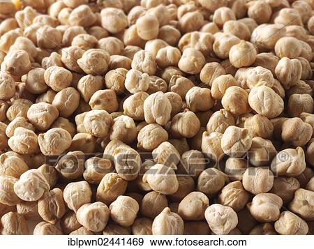 Chick peas View Large Photo Image Stock Photo - Chick peas. Fotosearch