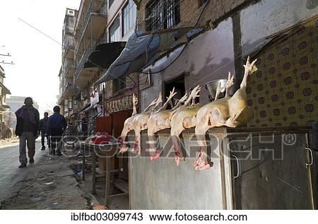 "Chicken bodies displayed for sale on the street, Kathmandu, Kathmandu District, Bagmati Zone, Nepal, Asia" View Large Photo Image Stock Image - "Chicken bodies displayed for sale on the street, Kathmandu, Kathmandu District, Bagmati Zone, Nepal, Asia". Fotosearch