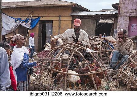 "Chickens in a basket, market street scene, Mercato of Addis Ababa, Addis Ababa, Oromia Region, Ethiopia, Africa" View Large Photo Image Stock Photograph - "Chickens in a basket, market street scene, Mercato of Addis Ababa, Addis Ababa, Oromia Region, Ethiopia, Africa". Fotosearch