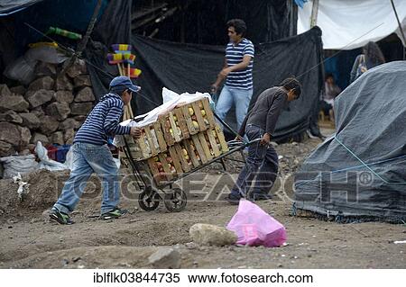 "Child labour, two boys working as porters at a market, Ayacucho, Ayacucho region, Peru, South America" View Large Photo Image Stock Photography - "Child labour, two boys working as porters at a market, Ayacucho, Ayacucho region, Peru, South America". Fotosearch