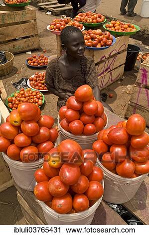 "Child selling imported tomatoes, Accra, Greater Accra Region, Ghana, Africa" View Large Photo Image Stock Image - "Child selling imported tomatoes, Accra, Greater Accra Region, Ghana, Africa". Fotosearch