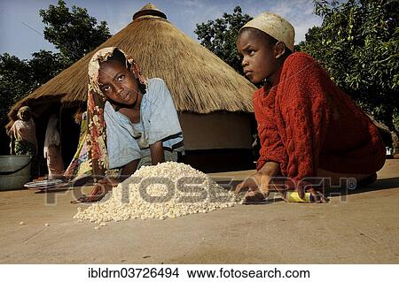 "Children helping to prepare food in the village of Idool, Idool, Adamawa Region, Cameroon, Africa" View Large Photo Image Picture - "Children helping to prepare food in the village of Idool, Idool, Adamawa Region, Cameroon, Africa". Fotosearch
