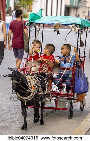Stock Photograph - "Children in a carriage pulled by a goat, at Parque de Santa Clara, Santa Clara, Cuba, North America". Fotosearch