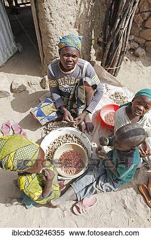 Stock Photography - "Children peeling peanuts, Rhumsiki, Far North, Cameroon, Africa". Fotosearch