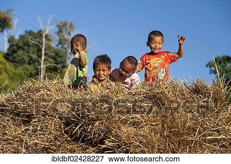 "Children playing on a haystack, straw, Soppong or Pang Mapha area, Northern Thailand, Thailand, Asia" View Large Photo Image Stock Photo - "Children playing on a haystack, straw, Soppong or Pang Mapha area, Northern Thailand, Thailand, Asia". Fotosearch