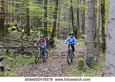 Stock Photo - Children riding mountain bikes in a forest near Grainau, Werdenfelser Land, Upper Bavaria, Bavaria, Germany, Europe. Fotosearch