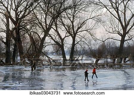 "Children walking across the ice from a flood of the Rhine, Niederrhein, Dusseldorf-Wittlaer, North Rhine-Westphalia, Germany, Europe" View Large Photo Image Stock Image - "Children walking across the ice from a flood of the Rhine, Niederrhein, Dusseldorf-Wittlaer, North Rhine-Westphalia, Germany, Europe". Fotosearch
