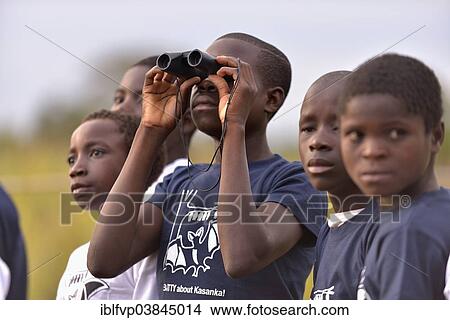 "Children with flying fox T-shirts observing Palm fruit bats (Eidolon helvum) Kasanka National Park, Zambia, Africa" View Large Photo Image Picture - "Children with flying fox T-shirts observing Palm fruit bats (Eidolon helvum) Kasanka National Park, Zambia, Africa". Fotosearch