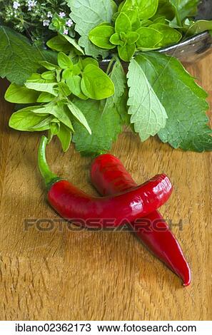 Stock Image - "Chili Pepper (Capsicum frutescens), Common Thyme (Thymus vulgaris), Common Oregano or Wild Marjoram (Origanum vulgare) and Lemon Balm (Melissa officinalis), Schwaz, Tyrol, Austria, Europe". Fotosearch