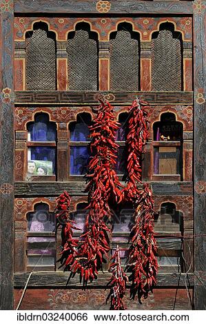 "Chili peppers on a window, Mongar, Mongar District, Bhutan, Asia" View Large Photo Image Stock Photograph - "Chili peppers on a window, Mongar, Mongar District, Bhutan, Asia". Fotosearch
