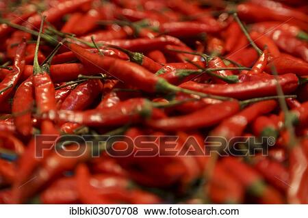 "Chillies at a stand at Fruit Logistica, Berlin, Berlin, Berlin, Germany, Europe" View Large Photo Image Stock Photo - "Chillies at a stand at Fruit Logistica, Berlin, Berlin, Berlin, Germany, Europe". Fotosearch