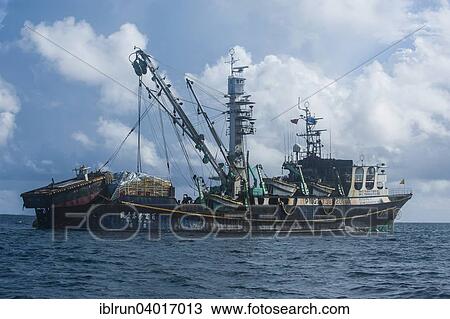 "Chinese fishing trawler, Pohnpei, Micronesia, Oceania" View Large Photo Image Stock Image - "Chinese fishing trawler, Pohnpei, Micronesia, Oceania". Fotosearch
