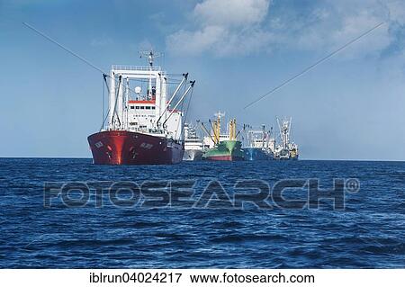 "Chinese fishing trawlers, Pohnpei, Micronesia, Oceania" View Large Photo Image Stock Photo - "Chinese fishing trawlers, Pohnpei, Micronesia, Oceania". Fotosearch
