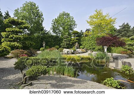 "Chinese garden, Park of Gardens garden show, Bad Zwischenahn, Lower Saxony, Germany, Europe" View Large Photo Image Stock Image - "Chinese garden, Park of Gardens garden show, Bad Zwischenahn, Lower Saxony, Germany, Europe". Fotosearch