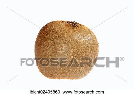 "Chinese Gooseberry or Kiwifruit (Actinidia chinensis, Actinidia deliciosa)" View Large Photo Image Stock Image - "Chinese Gooseberry or Kiwifruit (Actinidia chinensis, Actinidia deliciosa)". Fotosearch