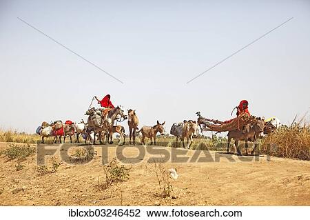 "Choa nomads with donkeys and horses at Maga Dam, Maga Dam, Far North, Cameroon, Africa" View Large Photo Image Stock Image - "Choa nomads with donkeys and horses at Maga Dam, Maga Dam, Far North, Cameroon, Africa". Fotosearch