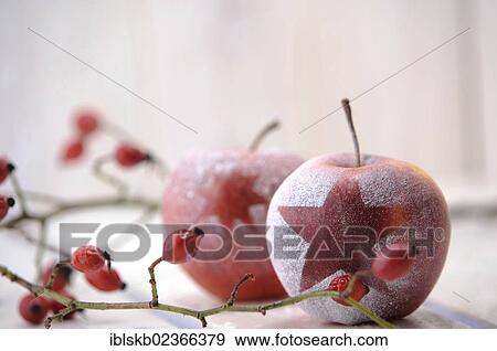 Christmas ambience with red apples and rosehips View Large Photo Image Stock Photo - Christmas ambience with red apples and rosehips. Fotosearch